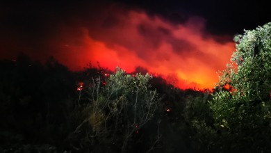 Photo of Vatrogasci zabilježili 250 intervencija u posljednja 24 sata