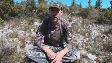Photo of VIDEO SAVJET Što napraviti kod ugriza poskoka?
