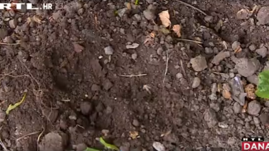 Photo of VIDEO  U potragu za zlatom u Topuskom uključili su se i policija i Ministarstvo kulture