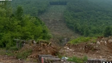 Photo of VIDEO Hrvatske šume krče šumu na granici s BiH zbog migranata