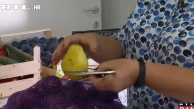 Photo of VIDEO Pogledajte kako se kontrolira voće i povrće koje ulazi u Hrvatsku i EU!