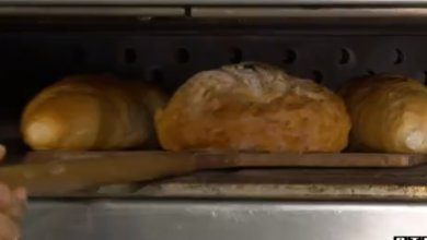 Photo of VIDEO Google objavio listu najtraženijih riječi u 2020.: Jeste li ih i vi tražili?