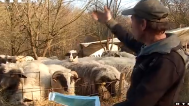 Photo of VIDEO Državne zemlje ima napretek, no seljaci je ne mogu dobiti