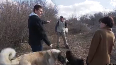 Photo of VIDEO Potraga istražuje zašto su stočari ljuti na državu