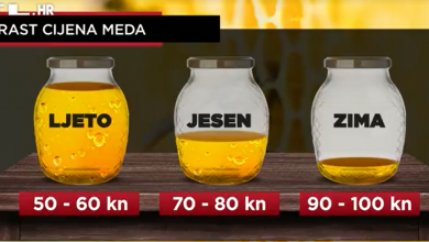 Photo of VIDEO  Cijena raste iz godine u godinu: Med je već sada 20 posto skuplji nego lani