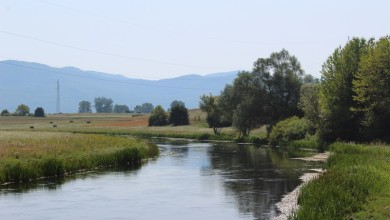 Photo of Udruga SPASI GACKU predala amandman Petryju: “Odbacujemo svaku opciju koja ostavlja ijedan krak Gacke isušenim”