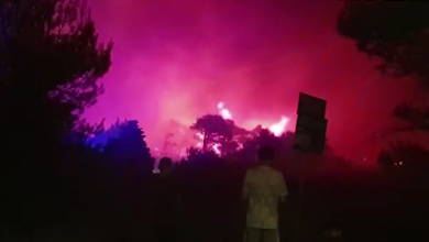 Photo of VIDEO Dramatične snimke sa Zrća! Uz pomoć kanadera požar je lokaliziran