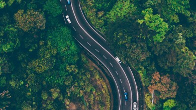 Photo of Sadnjom drveća do kompenzacije emisija CO2 iz motornih vozila