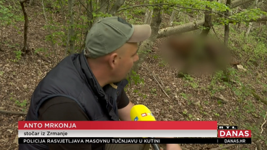 Photo of VIDEO Od Gračaca do Knina mega čopori vukova kolju stoku: ‘Dođe mi da odustanem. Zaklalo mi teliće, koze, ovce…’