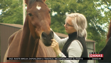 Photo of VIDEO Konji sisačke udruge koja je poplavila su na sigurnom. No, za terapijsko jahanje zakinuto je 50-ak djece. Možete im pomoći