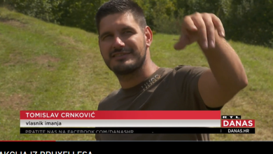 Photo of VIDEO Šefici Europske komisije vuk ubio ponija, počeo obračun s vukovima. Evo kakva je situacija u Lici