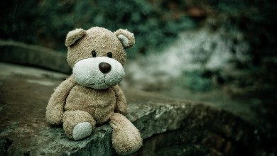 Photo of BIZARNO Pedofilima suci smanjuju kazne jer su očevi, branitelji…