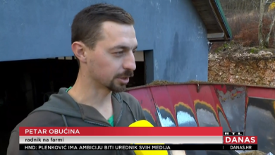 Photo of VIDEO Petar je spasio 63 krave u Lici: ‘Ugledao sam nepoznatu, plavu tvar i odmah posumnjao da je otrov’