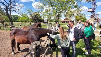 Photo of Otočki srednjoškolci na Erasmus+ razmjeni u Mađarskoj