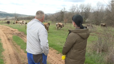 Photo of VIDEO Stanovnici Gračaca nemaju očekivanja od političara: “Oni su toliko bahati…”