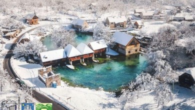 Photo of Sinac i ove godine sLika u Zagrebu