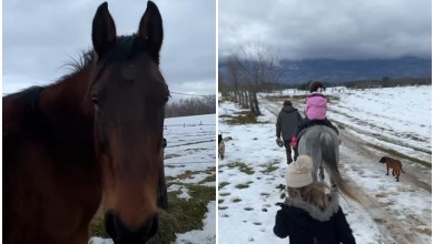 Photo of VIDEO Na ovom bajkovitom ranču u srcu Like mogu jahati i najmlađi!