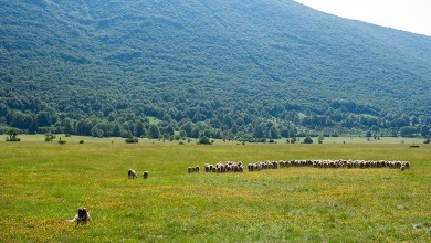 Photo of Akademija (S)OPG-a – prilika za sve buduće poljoprivrednike