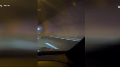 Photo of VIDEO Kamion u tunelu Plasina naletio na medvjeda! “Policajci su izvadili pištolje…”
