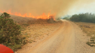 Photo of Opet se aktivirao požar kod Senja, vatrogasci cijelu noć na terenu