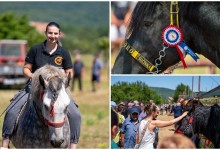 Photo of FOTO “Lika goji konja i junaka”: Više od 70 hrvatskih hladnokrvnjaka na “Najlipšoj grivi Gacke”
