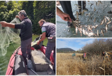 Photo of Nacionalni park Plitvička jezera kreće u veliki projekt: Uredit će 800 hektara prirodnih staništa