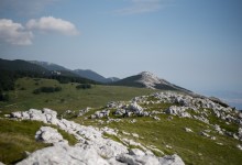Photo of Ako ih ugledate na Velebitu, nemojte im se približavati: Iz Parka objasnili zašto