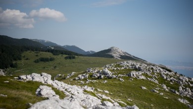 Photo of Ako ih ugledate na Velebitu, nemojte im se približavati: Iz Parka objasnili zašto